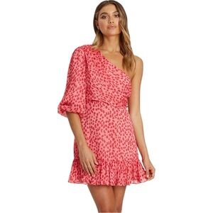 NWT Tussah The Label Ciara Mini Dress in Pink Rose Floral Size 6